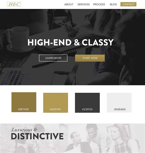 5 Web Design Color Palettes - Web UI Inspiration | Hook Agency