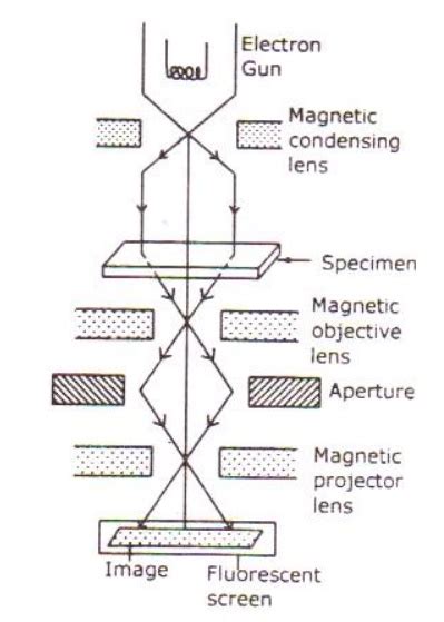 Electron Microscope Principle 的图像结果