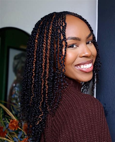 20 Top Micro & Mini Twists Hairstyles 2025 – Crochet Hair Trends USA