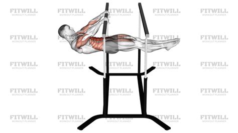 Image result for Front Lever Workout