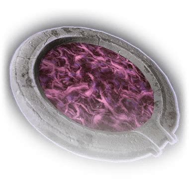 Vitriol of Lolth's Candle - bg3.wiki