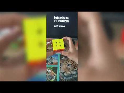 Oll Tutorial 的图像结果