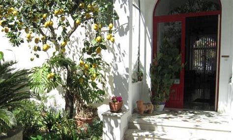 ALBERGO PENSIONE ITALIA (Capri) - Villa Reviews & Photos - Tripadvisor