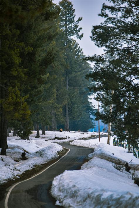 Road 的图像结果