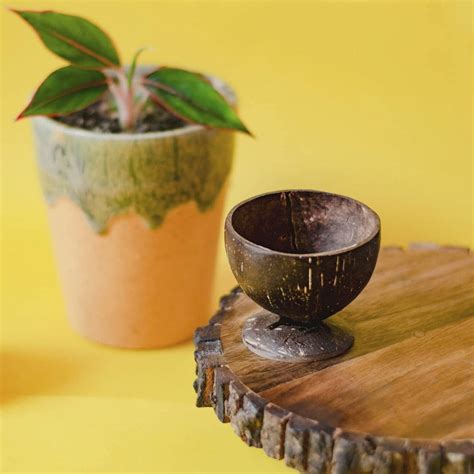 Get Sustainable Lifestyle Products From Posa India | LBB