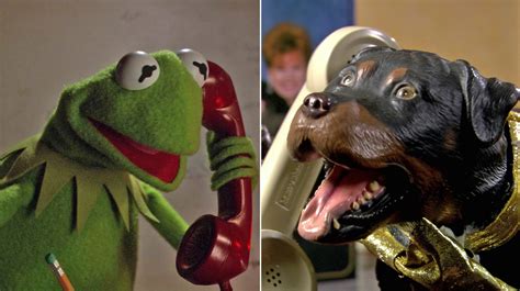 Triumph, the Insult Comic Dog | Muppet Wiki | Fandom