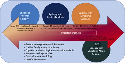 Epilepsy In Children Classification