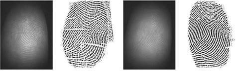 Finger Printing for Pattern Matching Algorithms 的图像结果