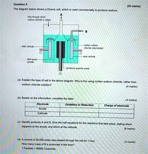 Downs Cell Diagram 的图像结果