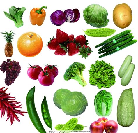 分层蔬菜水果大全图片_海报设计_广告设计_图行天下图库