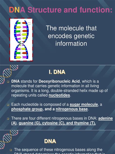 Image result for DNA Function