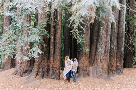 Saratoga Family Photographer | Sanborn County Park — Veronica Chou ...
