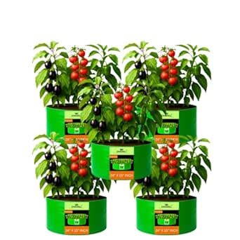 Kingwell Grow Bag For Terrace Garden Leafy Vegetable Plant Grow Bags ...