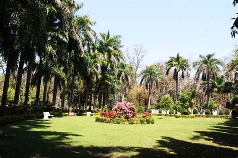 Waghai Tourism (2025) India - Best Places to Visit in Waghai, Waghai ...