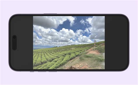 iPhone Screen Rotation Lock 的图像结果