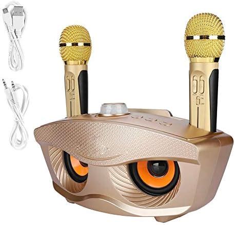 Karaoke Machine with Two Wireless Microphones, Portable Bluetooth ...