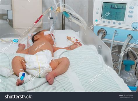 1,602 Breathing Mechanism Images, Stock Photos & Vectors | Shutterstock