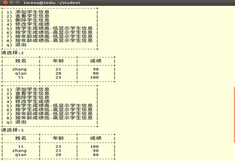 Score System Python 的图像结果