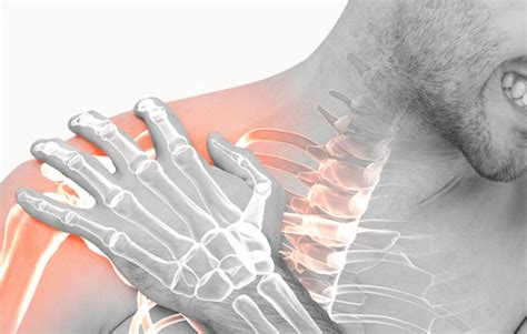 Image result for Left Rotator Cuff