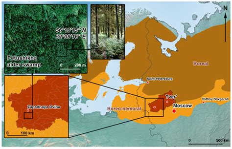 Spatio-Temporal Variability of Methane Fluxes in Boreo-Nemoral Alder ...