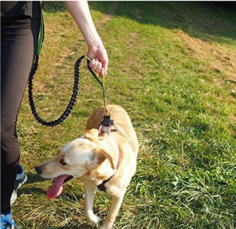 Electomania Dual-Handle Reflective and Adjustable Bungee Dog Leash 2 i ...