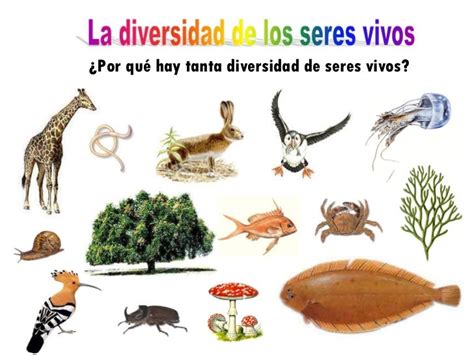 Ecosistemas CCNN tema 5 - Mind42