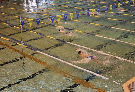 Jr. Swim 的图像结果