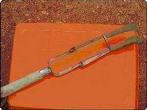 Expert System for Sugarcane