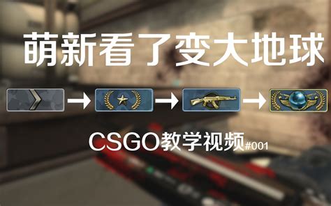 CS GO Learning 的图像结果