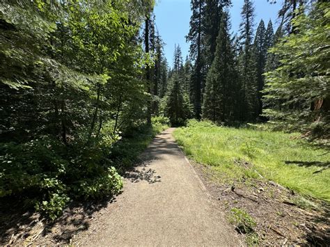 Loop Trail 的图像结果