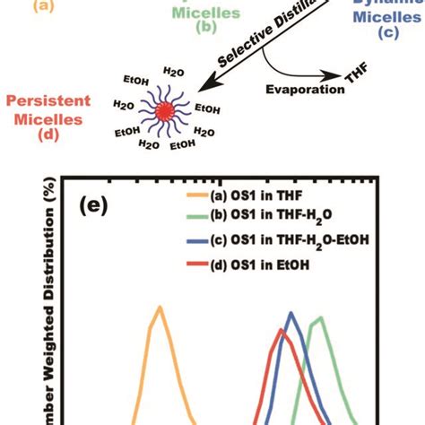 Image result for PMT Preparation Tips