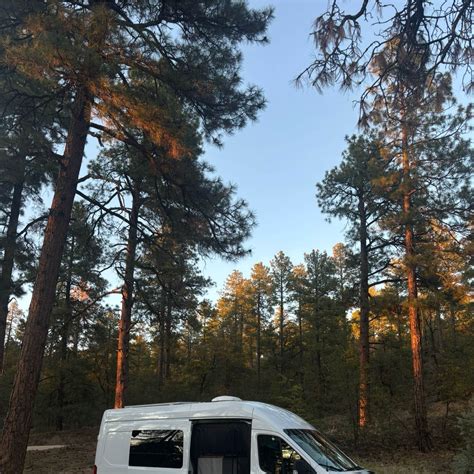 Wolf Creek Road Campsites | Prescott National Forest, Arizona