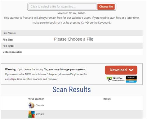 Image result for Free Online Computer Scan
