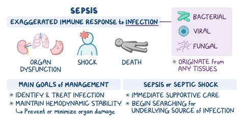 Wie Sieht Eine Sepsis Aus | Education Suisse