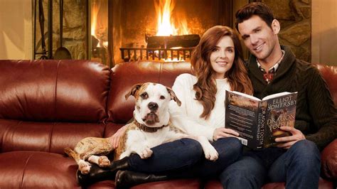 Kristin Shepherd Best Movies and Shows List from 2013 to 2019