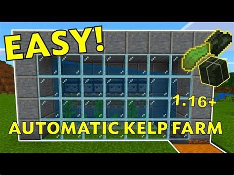 Image result for Kelp Farm Minecraft Java Easy