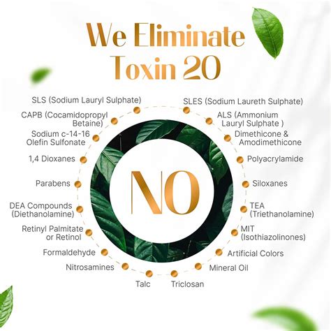 Buy Wildly Pure Evolve Hair Fall Control Shampoo for Dry, Frizzy ...