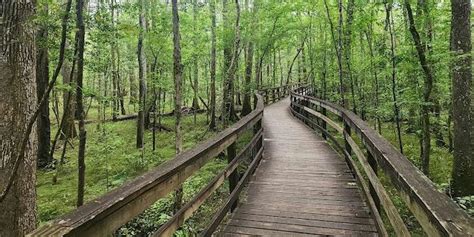 South Carolina-52 Hikes Challenge Congaree National Park Boardwalk ...