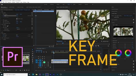 Premiere Pro Keyframes 的图像结果