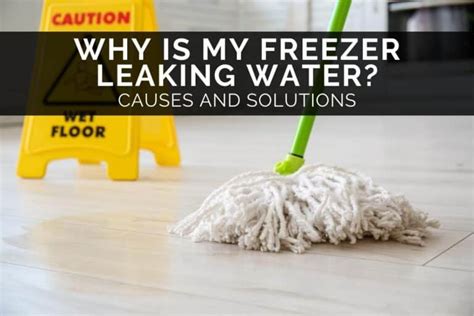 Freezer Leaking 的图像结果