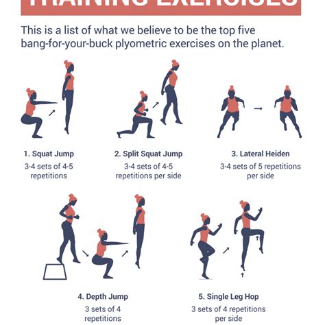 Plyometric Exercise Routine 的图像结果