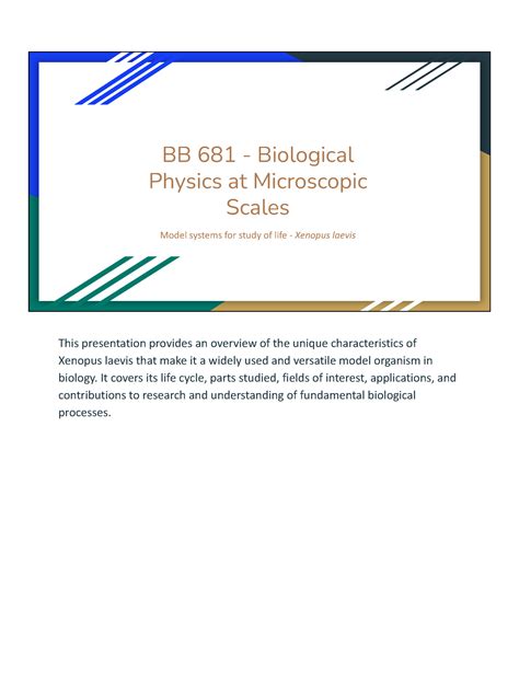 BB 681 - Xenopus laevis - Maddi Sanskar - BB 681 - Biological Physics ...