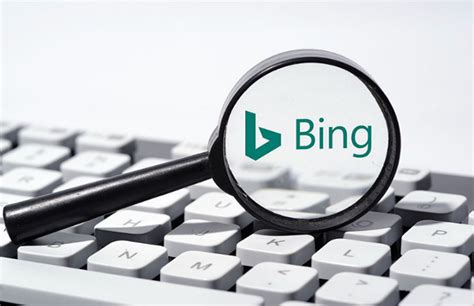 Bing Ente 的图像结果