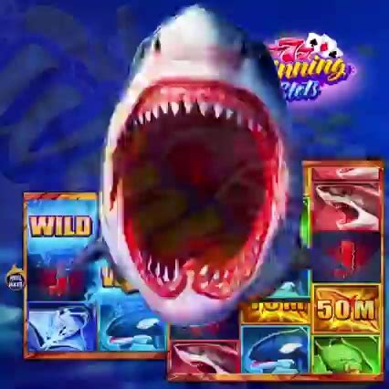 slotswinner competitive analysis