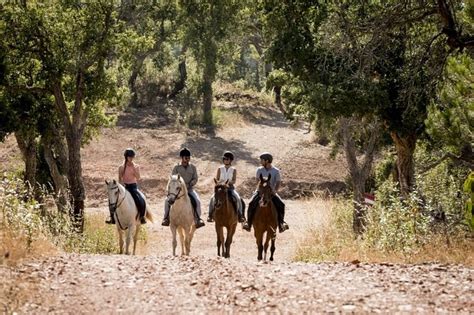 2026 1.5 hr Horseback Riding Montevideo, Uruguay, with transportation ...