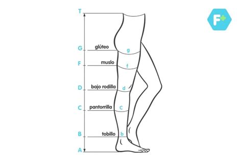 Guía para Elegir las Mejores Medias de Compresión para Varices