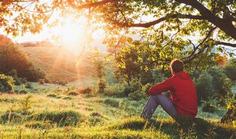 Maley-Yarbrough Funeral Home - Covington, TN