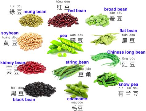 Beans In French Pronunciation at Ruby Godfrey blog