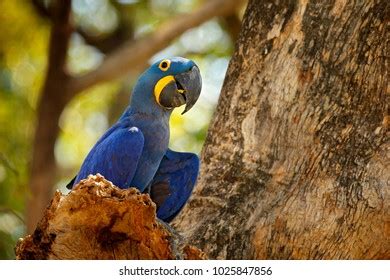 Image result for Logging Software