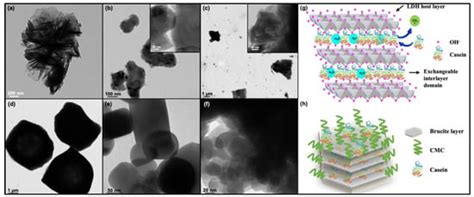 Composite of Layered Double Hydroxide with Casein and ...
